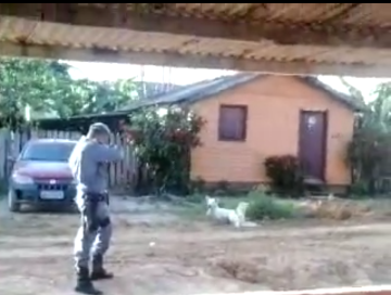 VÍDEO: “Ele ainda estava com sangue na boca”, diz PM filmado executando cachorro