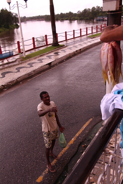 ...da vida simples à beira do Rio Caeté, onde se pode comprar peixe fresco na rua