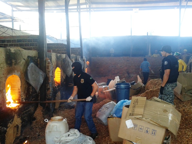 Maconha: Polícia incinera 70 quilos de drogas