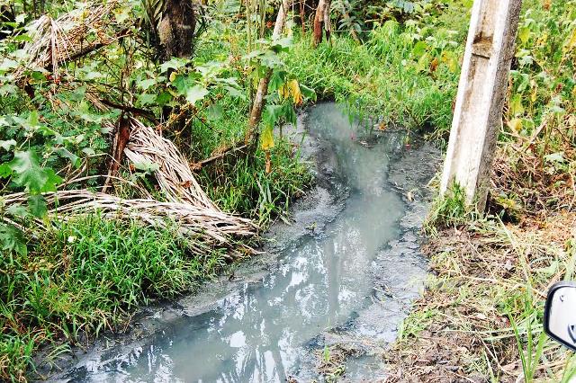 crime ambiental: Fossas do Iapen contaminam Lagoa dos Índios