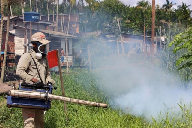 No primeiro trimestre: Casos de dengue crescem 300% em Macapá