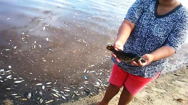 Em nota: Ferreira Gomes Energia se pronuncia sobre mortandade de peixes no Araguari