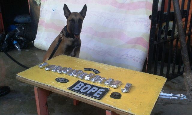 Bope encontra drogas, celulares e armas no Iapen