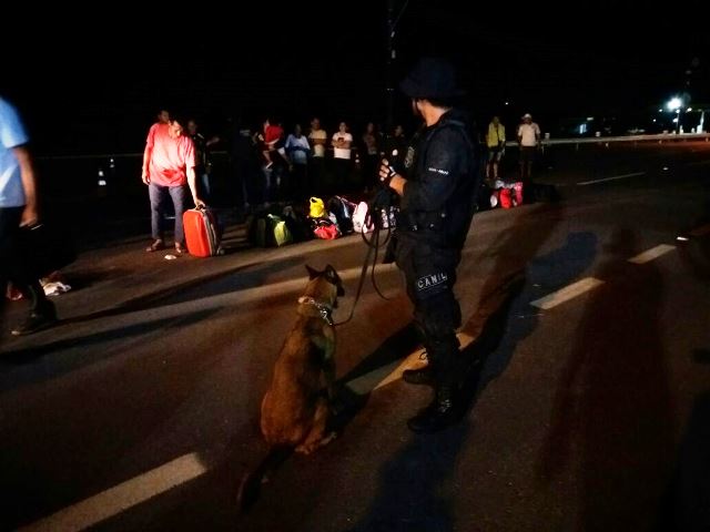 Policial com cão farejador observa passageiros