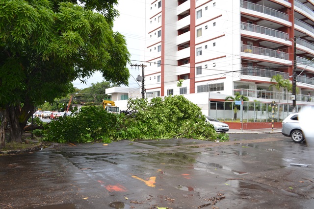 Cruzamento da Rua Hamilton Silva com a Avenida Almirante Barroso: árvore quase bloqueou a rua