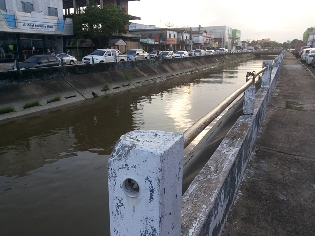 Apesar do esgoto da cidade ser despejado no rio, ostras tem sistema de purificação que permite sobrevivência