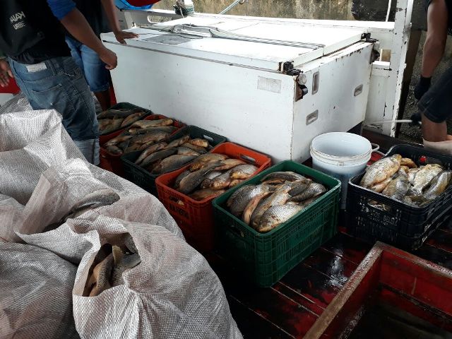 PM apreende quase 900kg de peixe