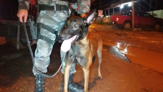 Cão do Bope encontra drogas em lixo de traficante