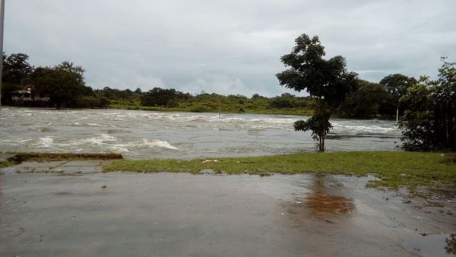 Rio Calçoene voltou a transbordar. Fotos: Patrícia Costa