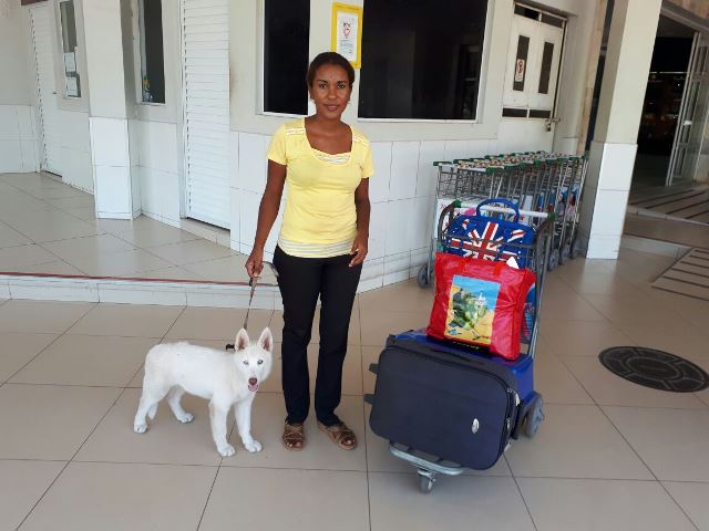No Aeroporto de Macapá, viajante dorme há 3 dias com o cachorro