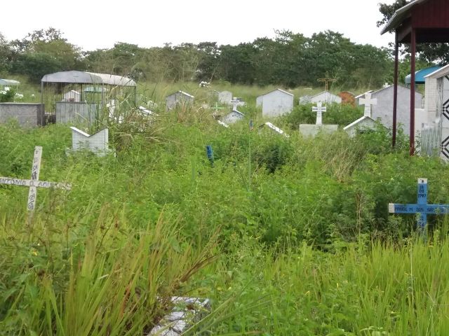 Familiares dizem não encontrar túmulos dos pais com mato alto em cemitério
