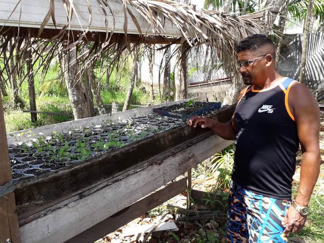 Jandiá: moradores que cultivam plantas temem perder renda com desocupação