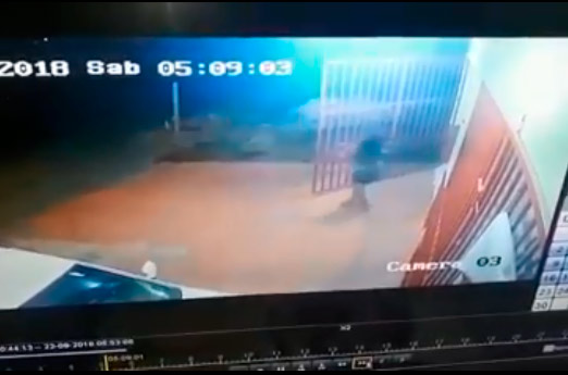VÍDEO mostra mulher furtando bebidas em depósito