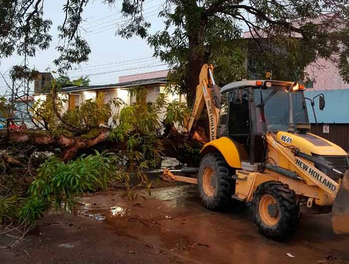 Ventania chegou a 64 km/h e derrubou 18 árvores em Macapá