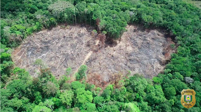 Amapá tem o menor índice de desmatamento da Amazônia