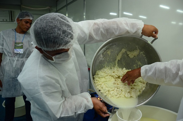 Oficinas vão ensinar a produção de queijos na ExpoBúfalo