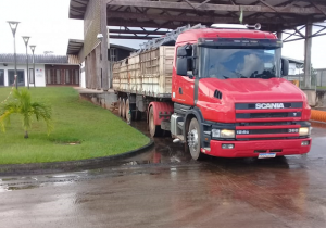 Amapá entra nas rotas de exportação pela Ponte Binacional