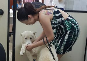 Mulher chora ao reencontrar cachorro furtado