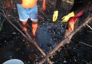 Ribeirinhos denunciam nova mortandade de peixes no Araguari