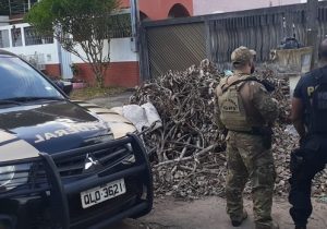 PF prende homem com pornografia infantil em Macapá
