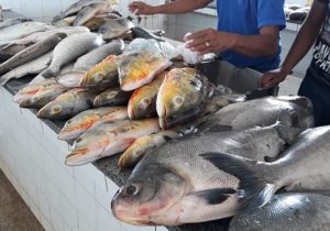 Período de defeso: confira as obrigações de pescadores e comerciantes