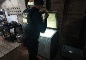 Ação federal prende dois por venda de armas pela internet no Amapá