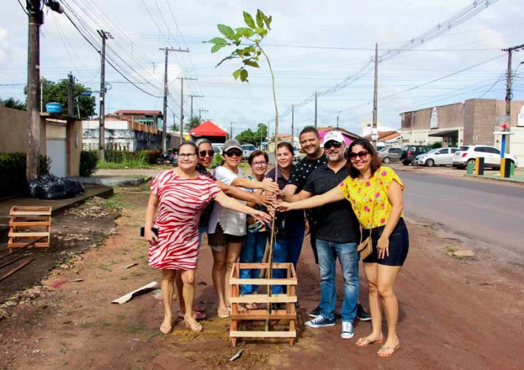 Em Macapá, prefeitura quer plantar 3 mil árvores em 2020