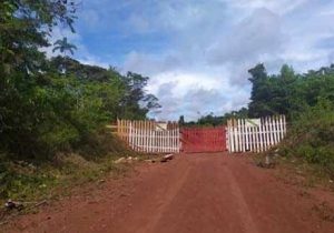 Isolamento: com medo da covid-19, índios colocam portão na BR-210