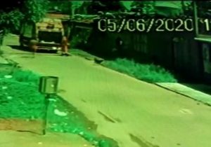 Em Santana, cadela é atropelada e jogada viva no triturador de lixo