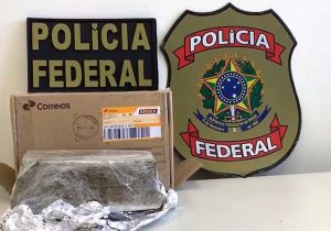 Sedex continha 1 kg de maconha