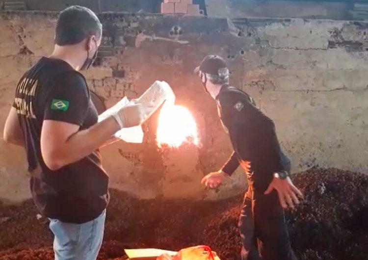 PF incinera 160 kg de drogas no Amapá; SNTV
