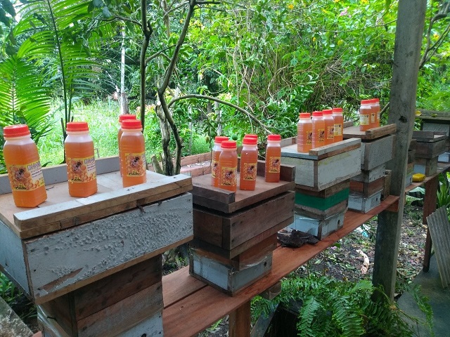 Trilha do mel: amapaenses preparam novo passeio turístico pós-pandemia