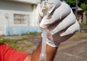 Casos de dengue aumentam 121% em agosto no Amapá