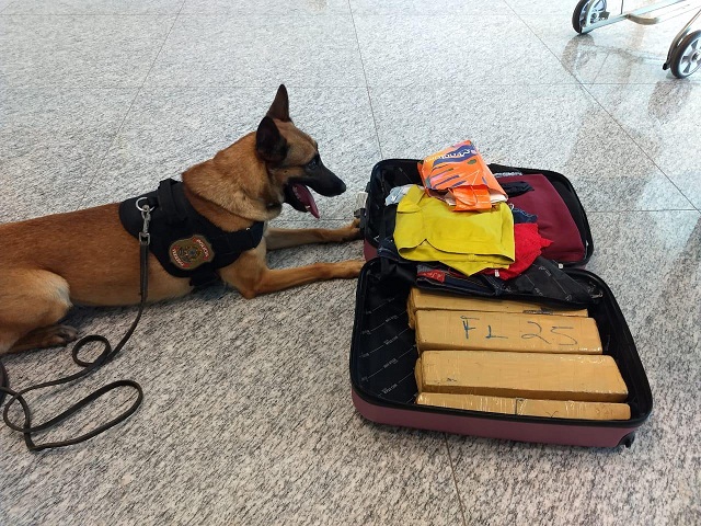 Mulher é farejada com 9kg de drogas no Aeroporto de Macapá