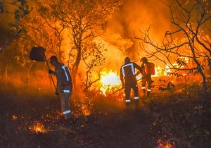 Chegada da estiagem acende alerta contra incêndios florestais no Amapá