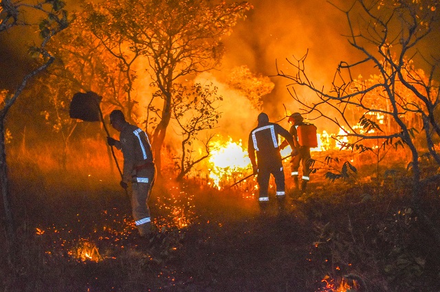 Chegada da estiagem acende alerta contra incêndios florestais no Amapá