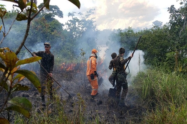 Estiagem no Amapá começa com queda de 50% de focos de incêndio, diz Iepa