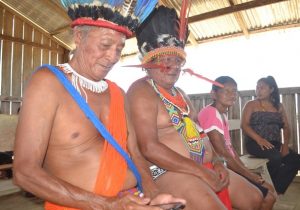IBGE explica salto de 52,9% na população indígena do Amapá