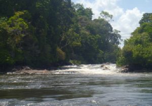 Bagagem abandonada no Rio Oiapoque tinha munições francesas