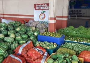 Agricultores que perdiam produção têm alimentos comprados e doados a pessoas carentes