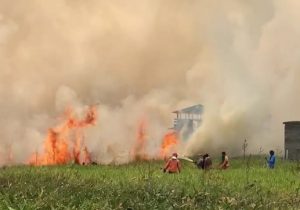 Incêndio criminoso deixa moradores intoxicados no interior do Amapá