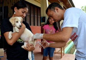 Prefeitura inicia vacinação antirrábica de casa em casa em Macapá