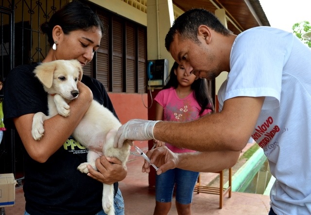 Prefeitura inicia vacinação antirrábica de casa em casa em Macapá