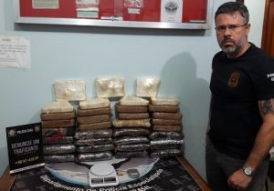 Polícia monitora traficante e encontra 35 kg de drogas em quilombo no Amapá