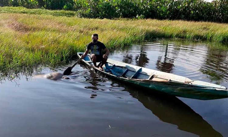 Pescador encontra corpo quase decapitado em lagoa