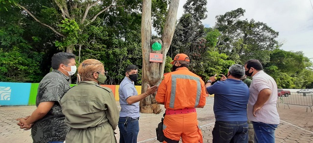 Prefeitura recua e fala em recuperar preguiça esculpida em madeira