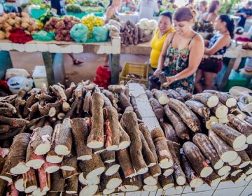 Pandemia leva à queda de R$ 34 milhões em vendas de alimentos nas feiras