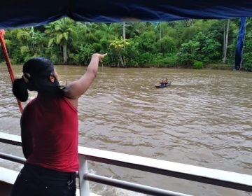 Por entre caminhos de serpentes