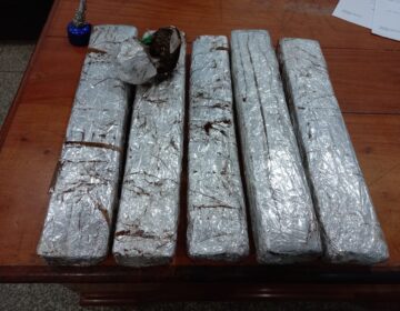 Com cães farejadores do Bope, PRF acha 11 kg de drogas em ônibus