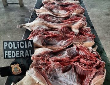 Ação policial combate comércio ilegal de caça na fronteira